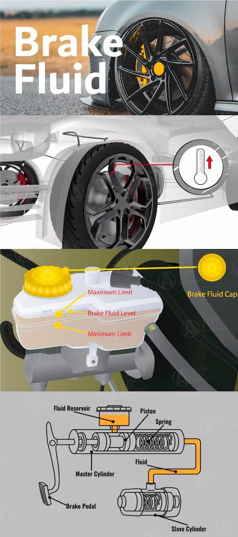 Dot 4 Synthetic Brake Fluid Infographics